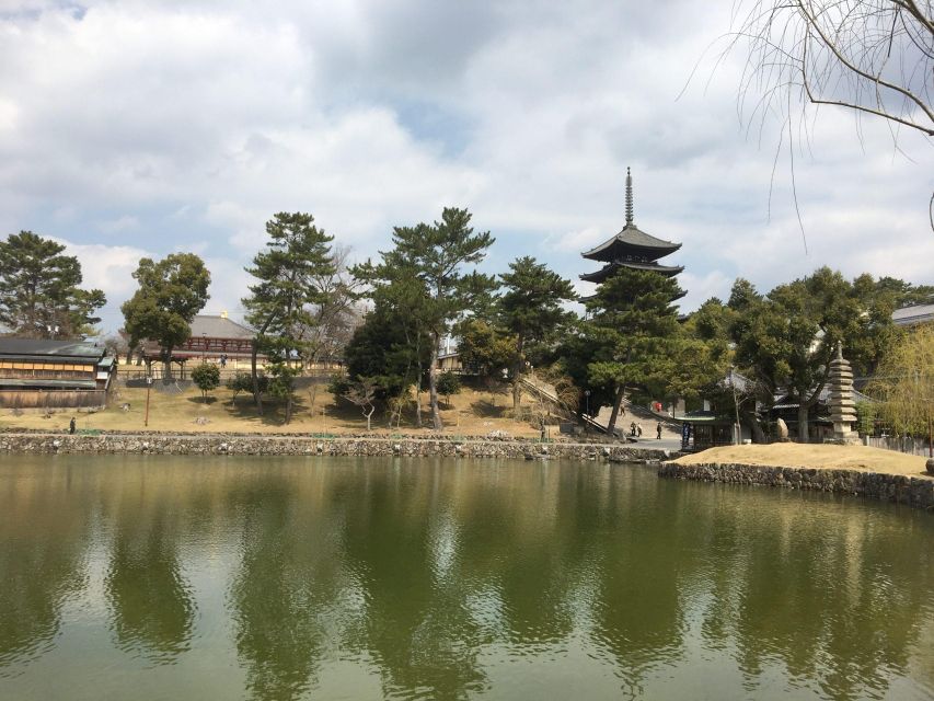 Nara: Half-Day Private Guided Tour - Description