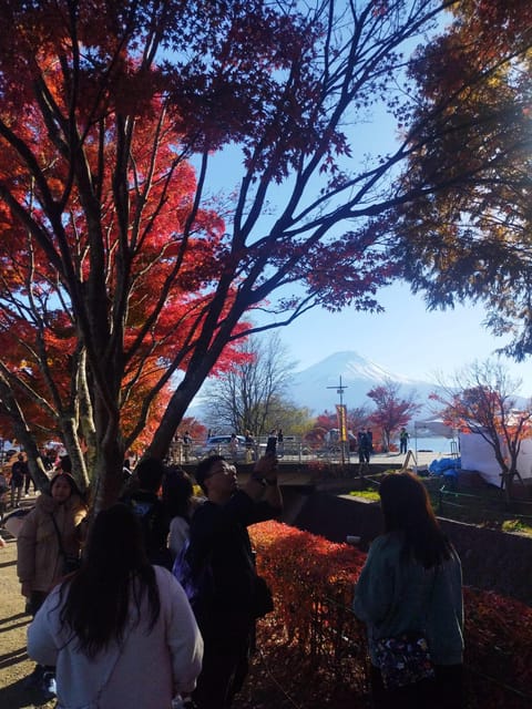 Mount Fuji - Hakone & Onsen Full Day Private Tour - Important Information and Reviews