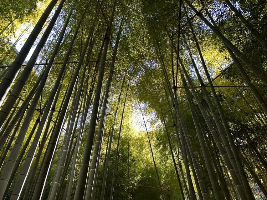 Kamakura: Cycle Through Centuries - Itinerary