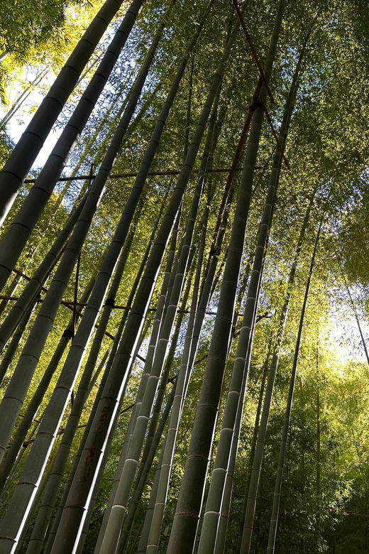 Kamakura: Cycle Through Centuries - Conclusion