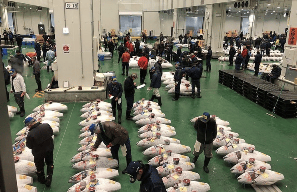 Toyosu Tuna Auction and Tsukiji Market by Gov Licensed Guide - Meeting Point