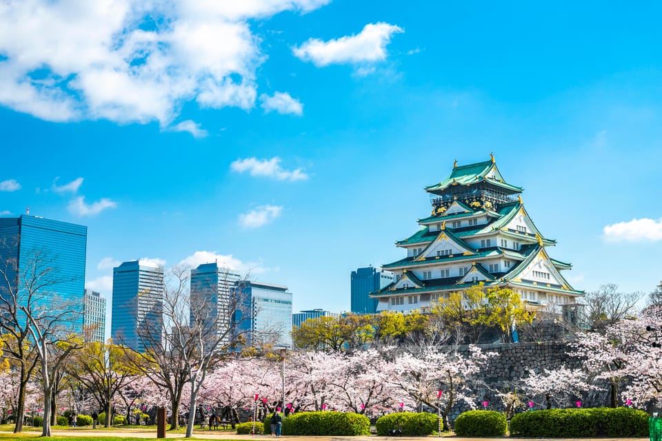 Osaka: 1-Day Private Customizable Trip by Car - Key Takeaways