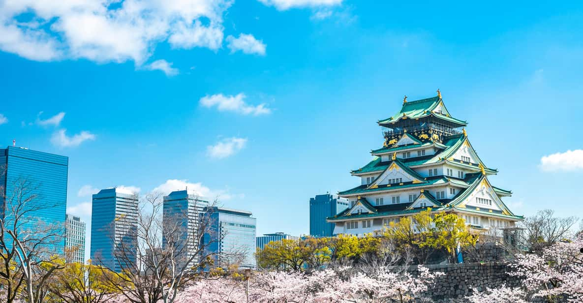 Osaka: 1-Day Private Customizable Trip by Car - Itinerary