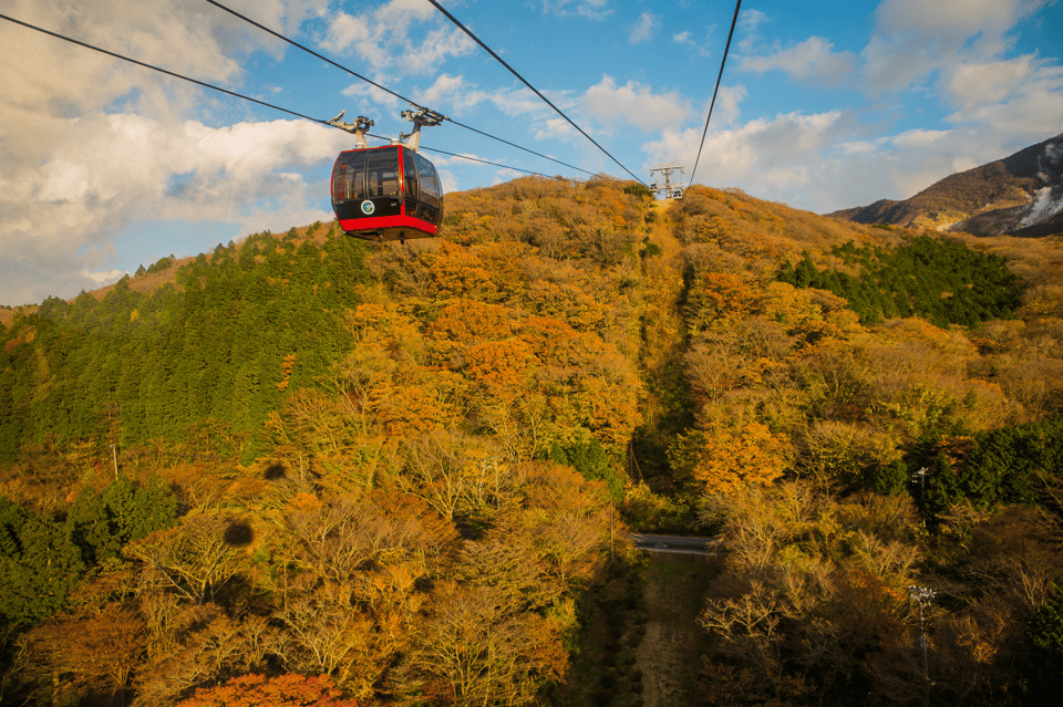 Mt.Fuji and Hakone Tour - Highlights