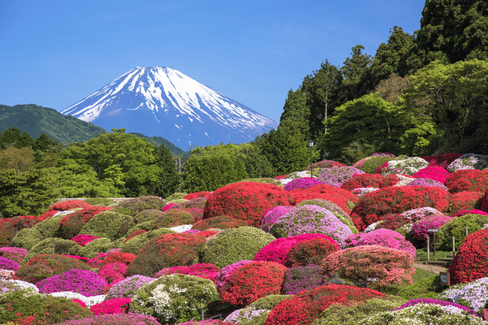 Mt.Fuji and Hakone Tour - Description