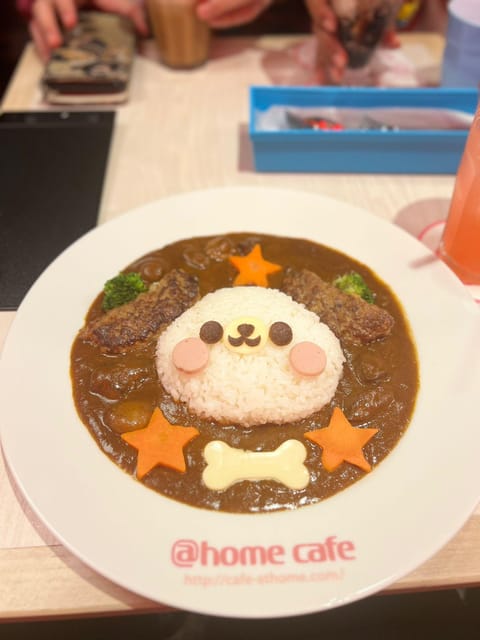 Akihabara: Maid Cafe Translation and Complete Guide - Highlights