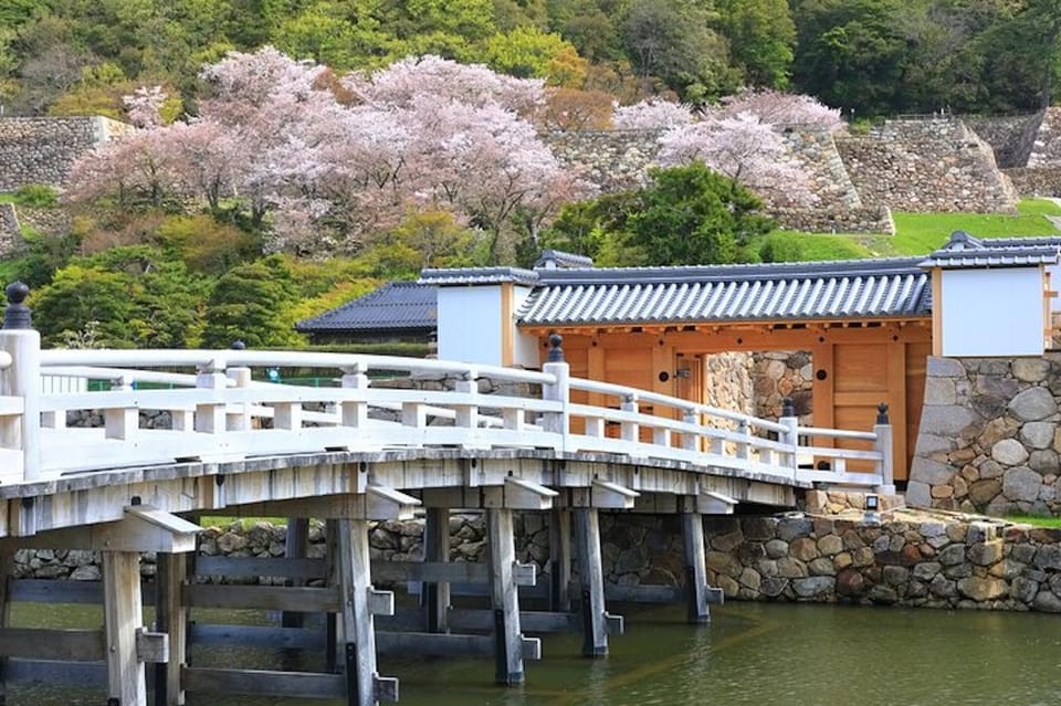 Tokyo: Tokyo Imperial Palace History Private Walking Tour - Itinerary Highlights