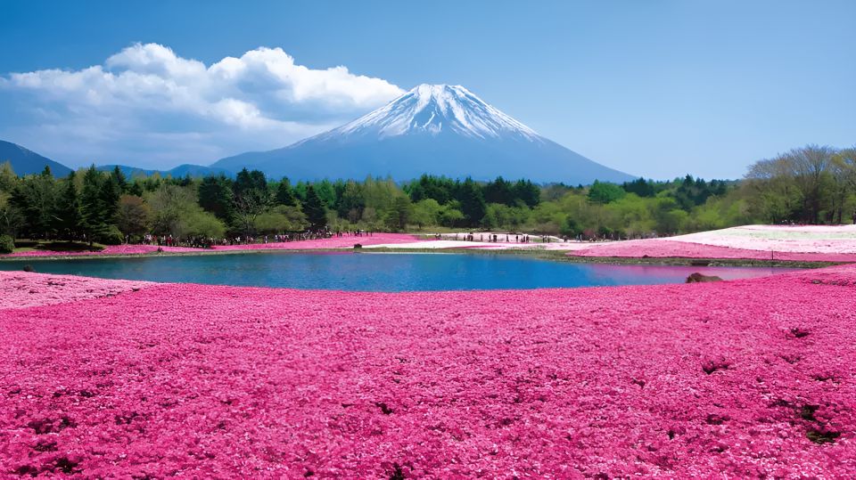 Tokyo: Mt. Fuji Festival, Ropeway, & Fruit Picking Day Trip - Inclusions
