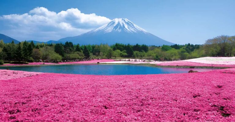 tokyo-mt-fuji-festival-ropeway-fruit-picking-day-trip-trip-details