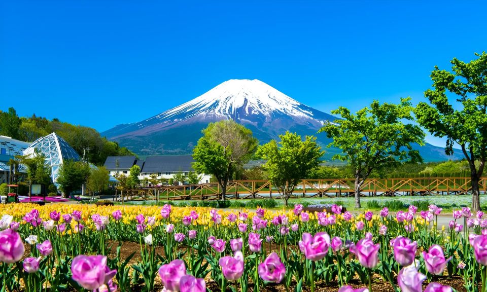 Tokyo: Mt. Fuji Festival, Ropeway, & Fruit Picking Day Trip - Important Information