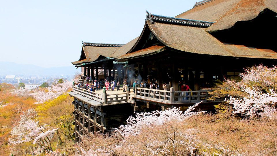 Kyoto Matcha Experience And Ancient Temple 1-Day Tour