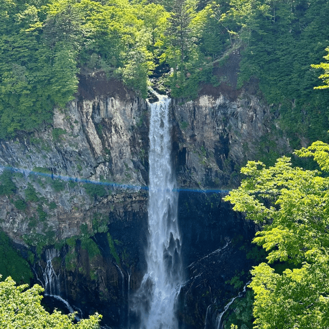 From Tokyo: Private Nikko World Heritage Sights Day Trip - Conclusion