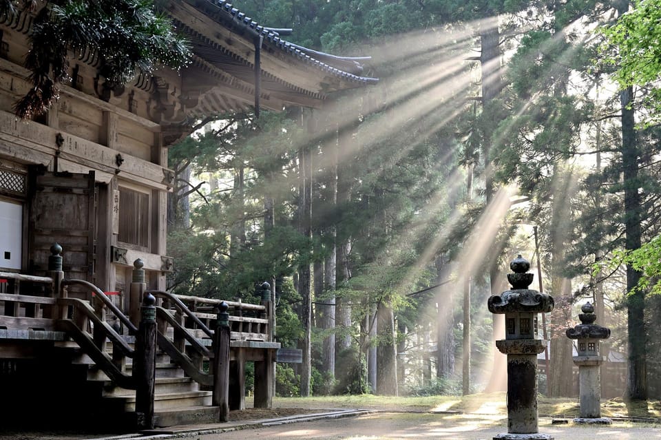 From Tokyo: Private Nikko World Heritage Sights Day Trip - Important Information