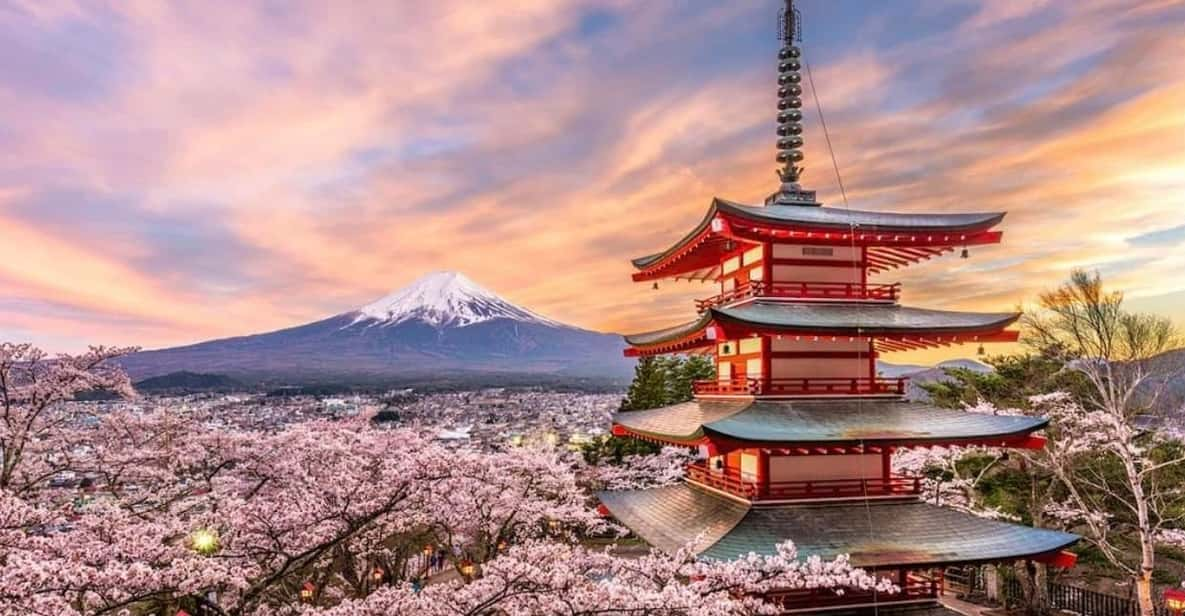 Tokyo:Private Mt Fuji Sightseeing Tour With English Driver. - Important Information