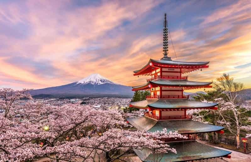 Tokyo:Private Mt Fuji Sightseeing Tour With English Driver. - Tour Details