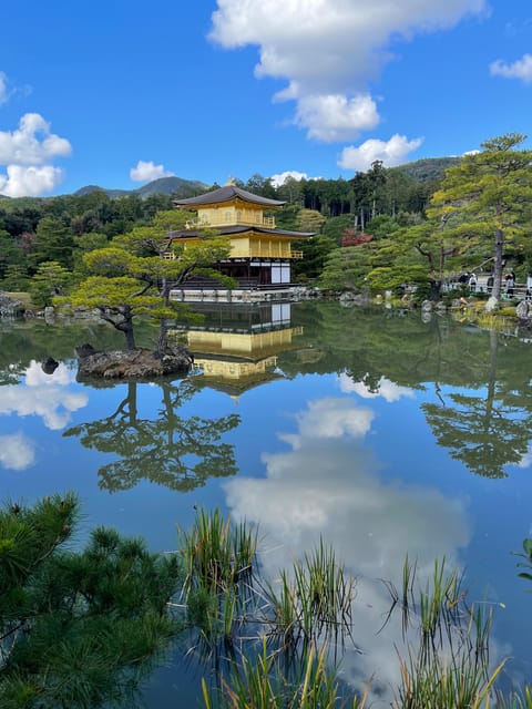 Kyoto: 10 Highlights in 1 Day Walking Tour With Matcha Tea - Tenryuji Temple