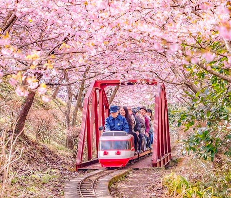 4-Day Private Kyoto Osaka Nara Sightseeing Tour With Guide - Booking