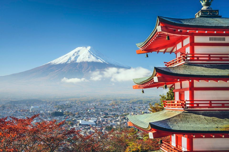 From Tokyo: Mt Fuji and Hakone Customizable Private Day Trip - Itinerary Highlights