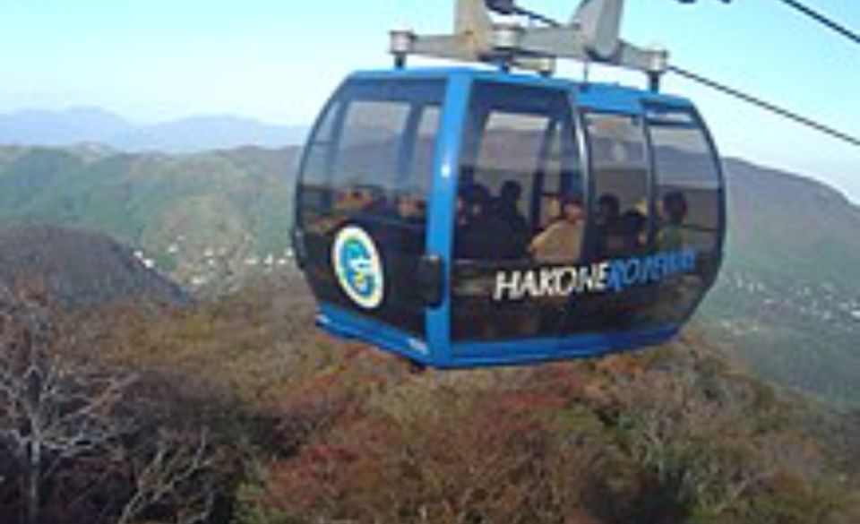 From Tokyo: Mt Fuji and Hakone Customizable Private Day Trip - Pricing