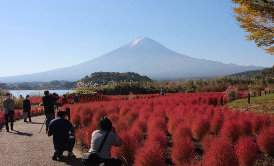 From Tokyo: Mt Fuji and Hakone Customizable Private Day Trip - Description