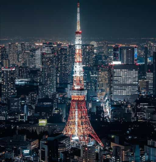 Tokyo Customizable Private Tour by Car & Van - Inclusions