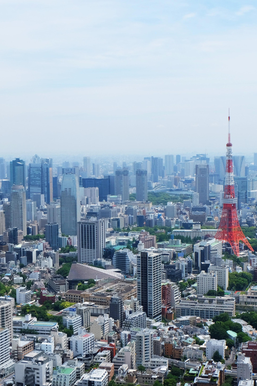 Full-Day Private Tour to Discover The Best of Tokyo - Cancellation Policy and Itinerary Highlights