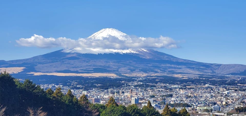 Mt Fuji and Hakone Private Tour With English Speaking Driver - Booking and Reservation Process