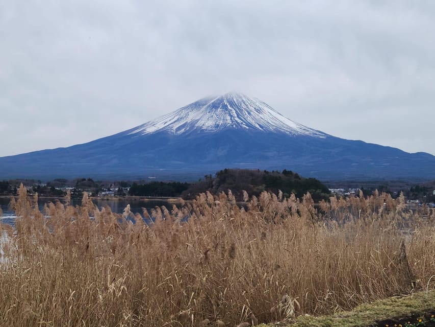 Mt Fuji and Hakone Private Tour With English Speaking Driver - Inclusions and Expenses Covered