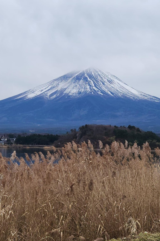 Mt Fuji and Hakone Private Tour With English Speaking Driver - Tour Highlights and Activities