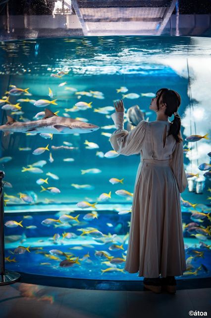 Kobe Urban Aquarium Aquarium×art Átoa Admission Ticket - Educational Programs