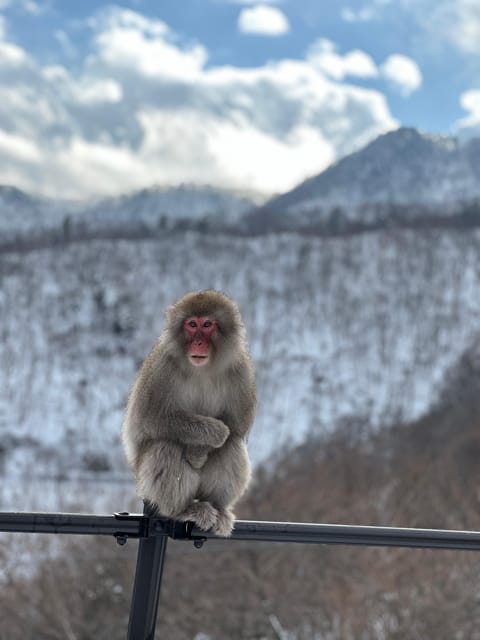 A Memorabele Snow Monkey Park and Zenkoji Temple Tour - Conclusion