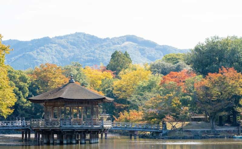 Nara: Private City Tour With A Local Guide - Activity Itinerary