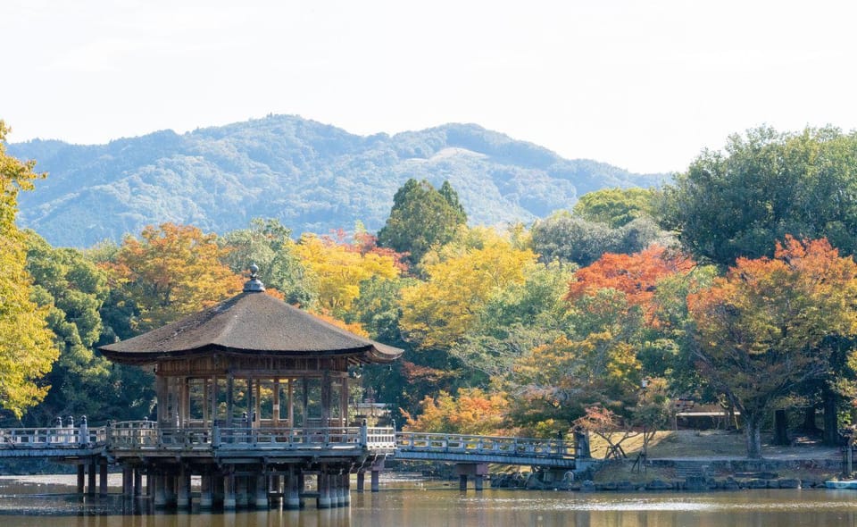 Nara: Private City Tour With A Local Guide - Highlights