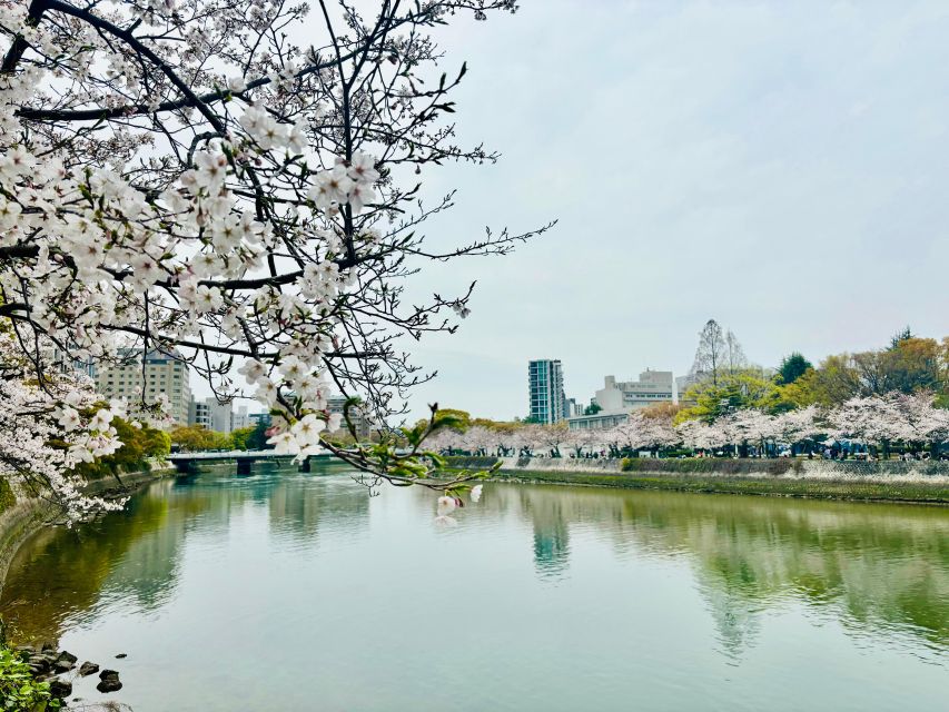 Hiroshima: History of Hiroshima Private Walking Tour - Accessibility