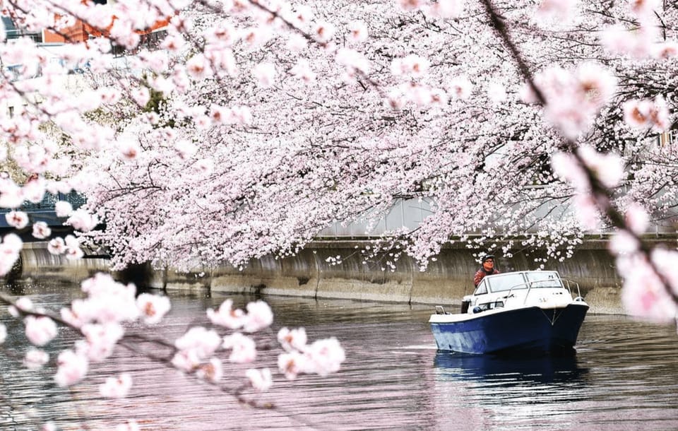 Relaxed Tokyo Bay Cruise Enjoy Your Own Food & Drinks at Sea - Booking Information