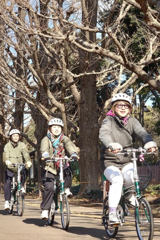 3-Hour Private E-Bike Tour Fr Shinjuku, Start at Your Hotel - Key Takeaways