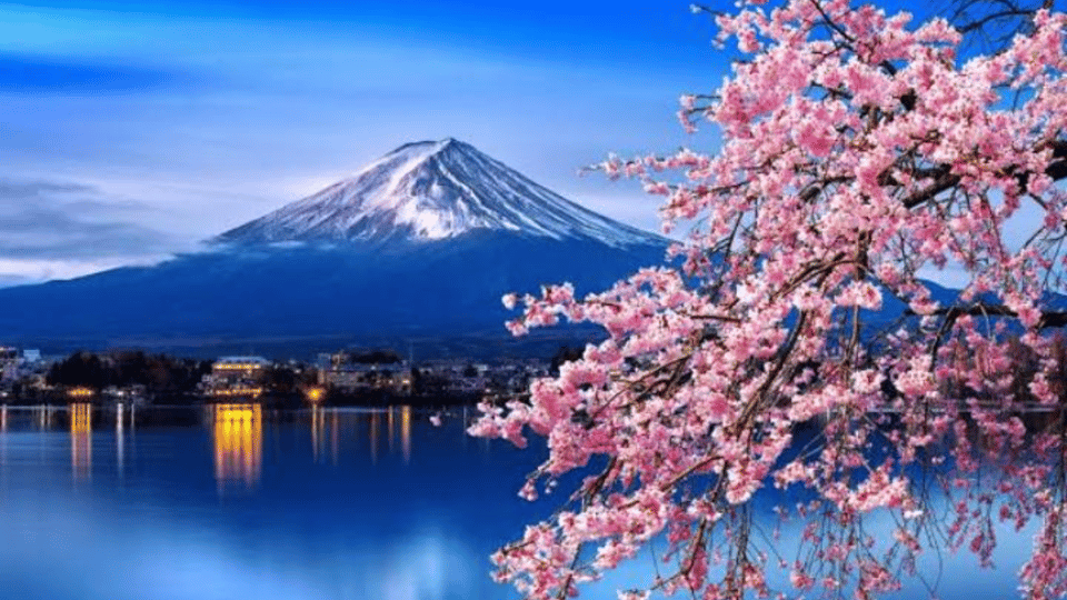 From Tokyo: Private Mount Fuji and Hakone Day Trip - Optional Stops