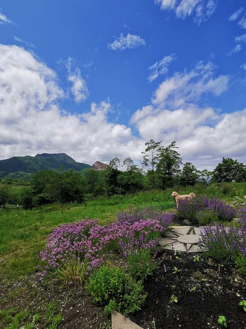 Hokkaido Nature and Gourmet Experience (near Lake Toya) - Inclusions