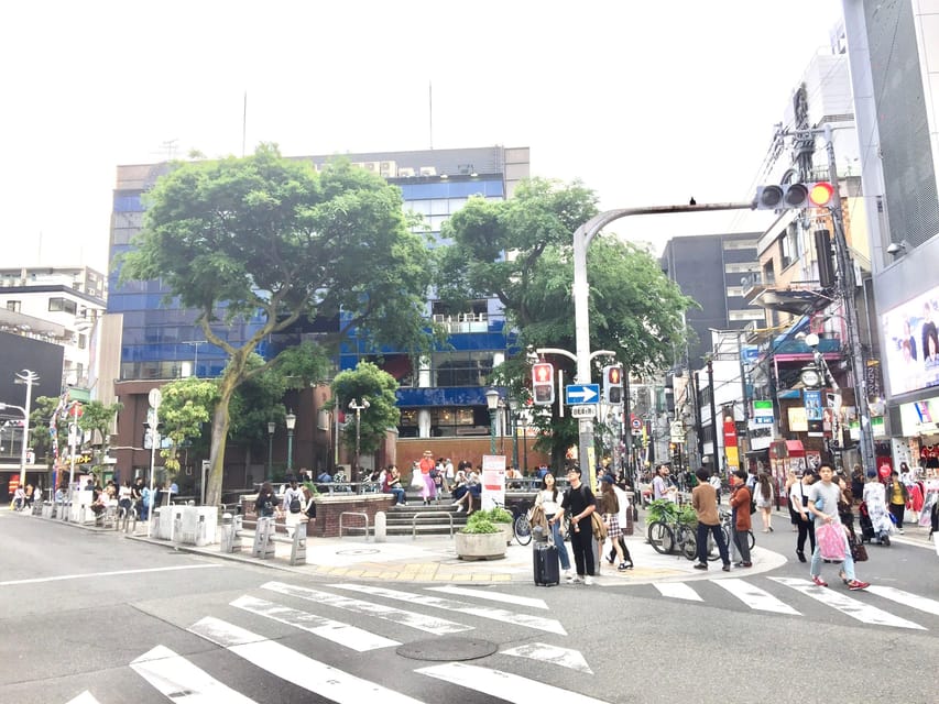 Osaka: Private Guided Tour of the Modern City - Language Options and Accessibility