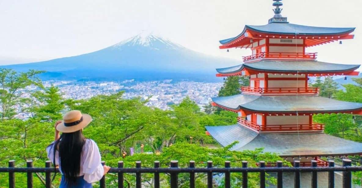 From Tokyo Mount Fuji Private Tour English Speaking Driver - Transportation Options