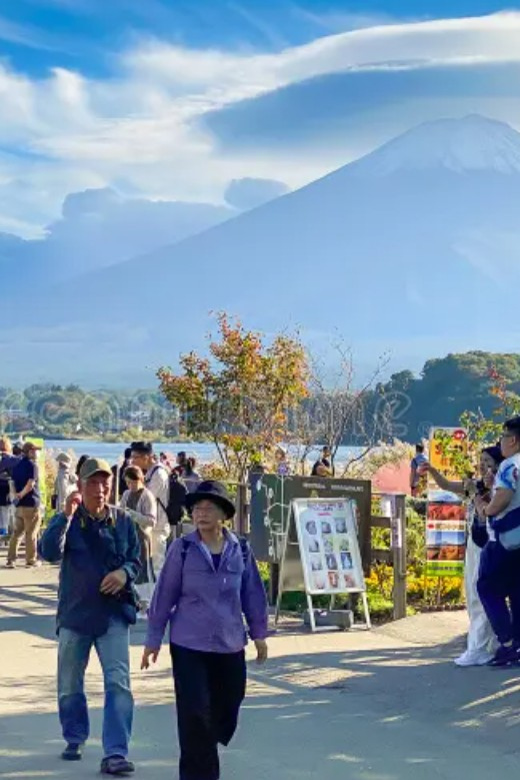 From Tokyo Mount Fuji Private Tour English Speaking Driver - Accessibility Information