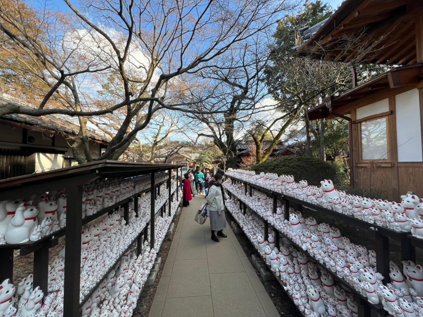 Tokyo Gotokuji Unique Temple Walking Tour for Cat Lovers. - Cancellation Policy