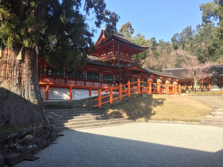 Nara: Private Guided Tour - Inclusions