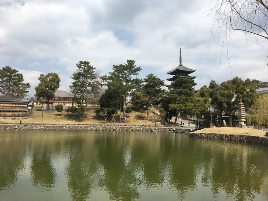 Nara: Private Guided Tour - Itinerary