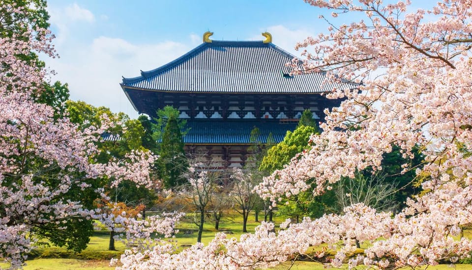 Osaka: Nara, Todaiji, Matcha Experience and Hot Spring Tour - Frequently Asked Questions