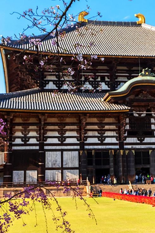 Osaka: Nara, Todaiji, Matcha Experience and Hot Spring Tour - Customer Reviews