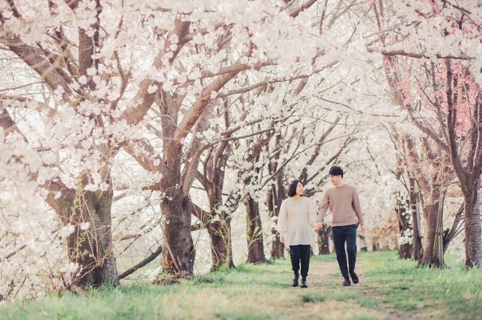 Tokyo: Private Cherry Blossom Photoshoot - Booking & Payment