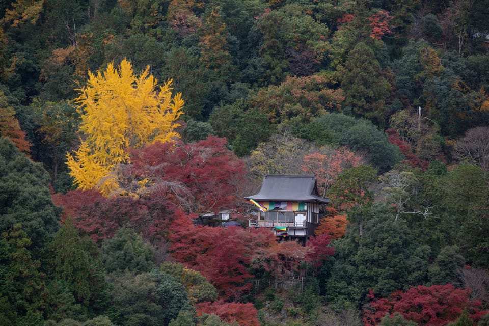 Kyoto: Arashiyama Forest Trek With Authentic Zen Experience - Itinerary