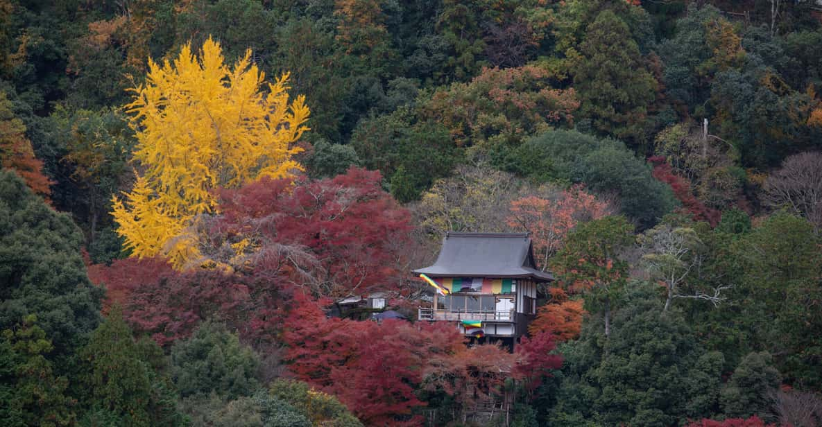 Kyoto: Arashiyama Forest Trek With Authentic Zen Experience - Frequently Asked Questions