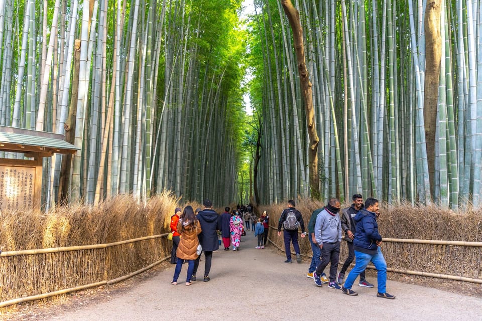 Kyoto: Arashiyama Forest Trek With Authentic Zen Experience - Customer Reviews